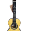 Viola Caipira Rozini RV154